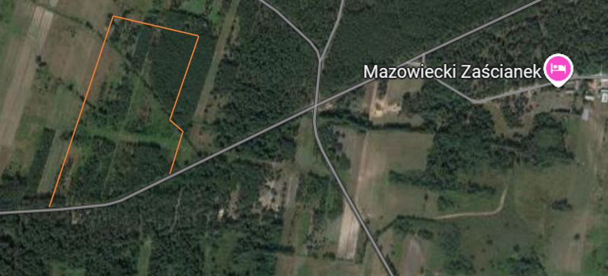 Zdjęcie lotnicze przedstawia fragment mapy satelitarnej z dominującym widokiem terenów zielonych, lasów oraz pól uprawnych. Po lewej stronie kadru, za pomocą cienkiej, pomarańczowej linii, wyznaczono nieregularny, podłużny kształt dużej parceli ziemi, która w większości obejmuje zalesiony obszar. Dolna krawędź tego oznaczenia przylega bezpośrednio do biegnącej u dołu, asfaltowej drogi. Droga ta krzyżuje się dalej na wschodzie z inną trasą, tworząc rozjazd w kształcie litery X. W prawej górnej części mapy widoczna jest różowa pinezka z ikoną łóżka, oznaczająca punkt noclegowy lub gastronomiczny o nazwie „Mazowiecki Zaścianek”.